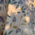 Parure de Lit Élégance Fleurie – Motif Pastel et Vif
