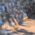 Parure de Lit Élégance Florale – Beige Doux & Blanc Pur