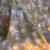 Parure de Lit Élégance Florale – Beige Doux & Blanc Pur