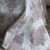Parure de Lit 6 Pièces – Raffinement Baroque Neutre Beige