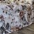 Parure de Lit Élégance Florale – Beige & Feuillage Serein