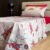 Parure de Lit Aviation – Jet de Combat Gris & Rouge
