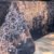 Parure de Lit Arbre Enchanté – Gris Nuit & Blanc Éclatant