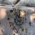 Parure de Lit Jardin de Papillons – Bleu Brume & Fleurs d’Or