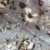 Parure de Lit Élégance Florale – Lin Gris et Fleurs Taupe