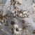 Parure de Lit Élégance Florale – Lin Gris et Fleurs Taupe