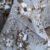 Parure de Lit Élégance Florale – Lin Gris et Fleurs Taupe