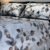 Parure de Lit Feuillage d’Automne – Blanc Gris Brun