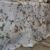 Screenshot Parure de Lit Magnolia d’Automne – Éclat Floral Beige