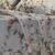 Screenshot Parure de Lit Magnolia d’Automne – Éclat Floral Beige