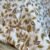 Screenshot Couette 2 Places Imprimé Feuilles Beige et Doré – Style Nature