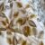 Screenshot Couette 2 Places Imprimé Feuilles Beige et Doré – Style Nature