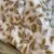 Screenshot Couette 2 Places Imprimé Feuilles Beige et Doré – Style Nature