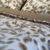 Screenshot Couette 2 Places Imprimé Feuilles Beige et Doré – Style Nature